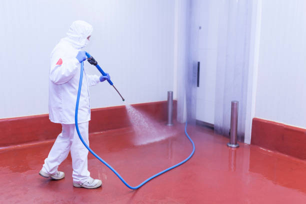 Best Post-Construction Pressure Washing  in Valley Stream, NY