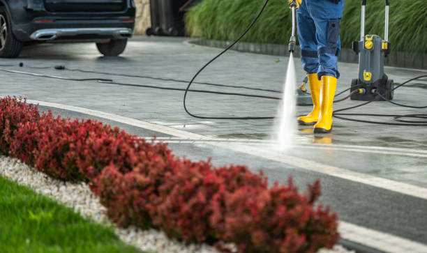Best Graffiti Removal  in Valley Stream, NY